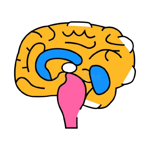 BEST CONSULTANT SPINAL AND CRANIAL NEURO SURGEON – Dr. Tapas Chatterjee